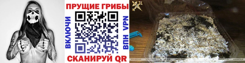 Псилоцибиновые грибы MAGIC MUSHROOMS  кракен   Оса 